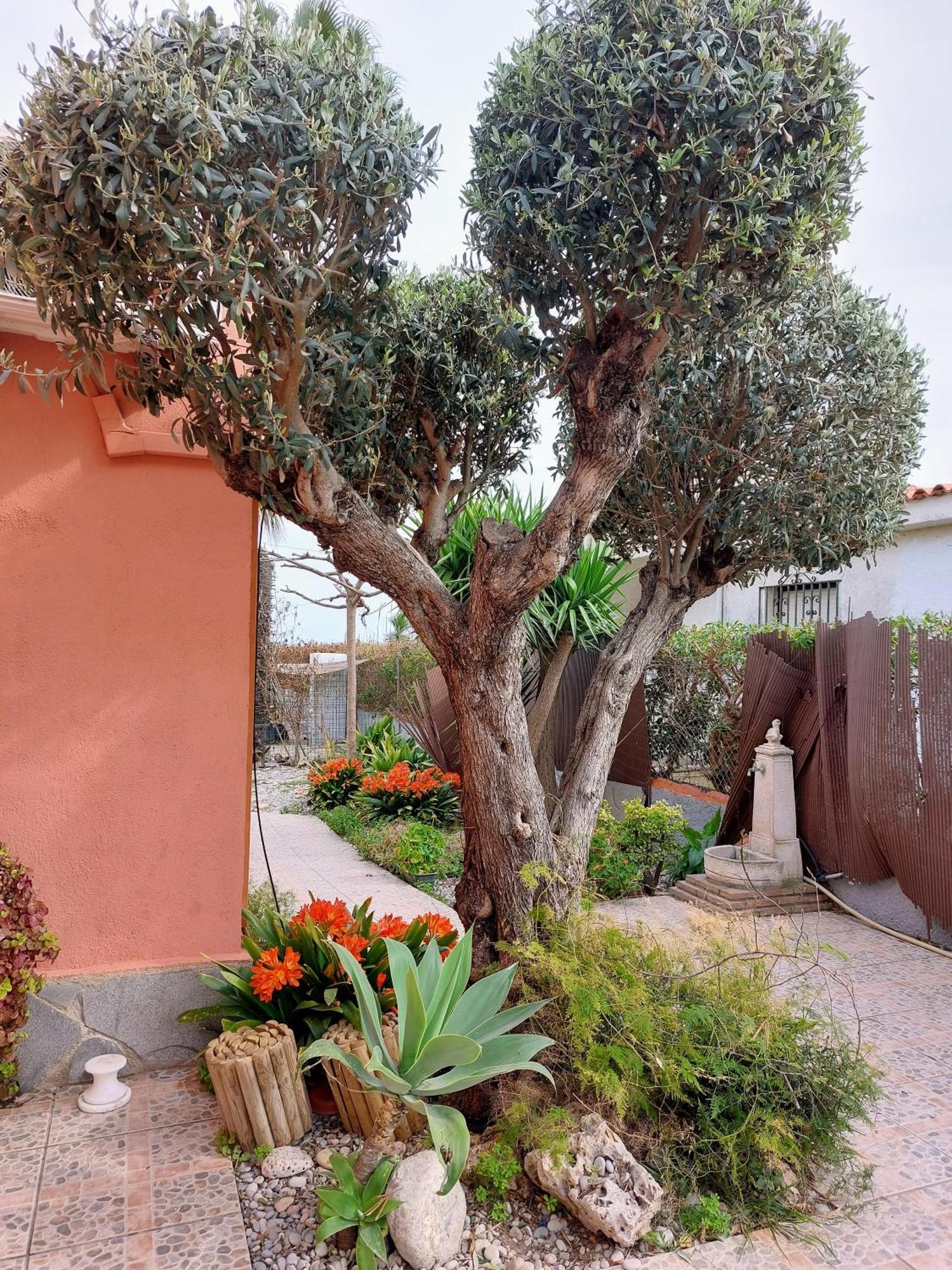 Chalet Acceso Directo Al Mar Ferienhaus